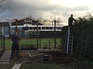 tuin onderhoud